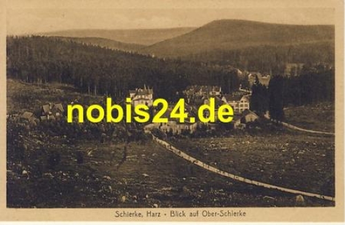 38879 Schierke Harz Ober Schierke *ca.1920