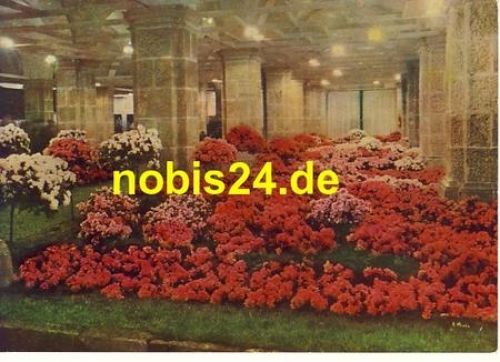 Dresden Stadthalle Flower Show * around 1961