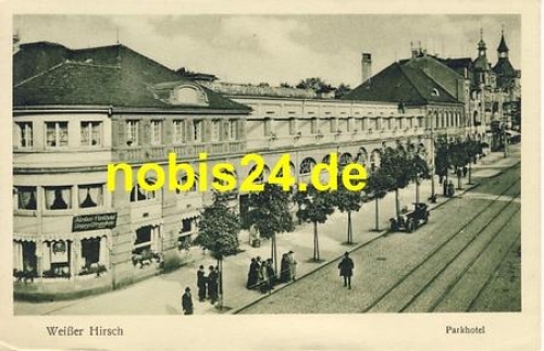 Weisser Hirsch Dresden Parkhotel *ca.1920