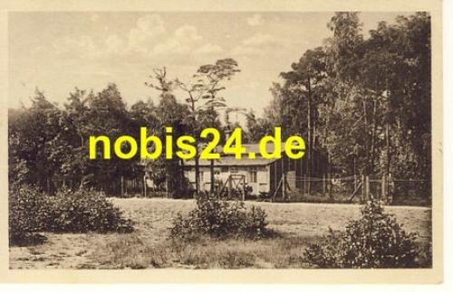 Trachenberge Dresden Wald Heim o 1928