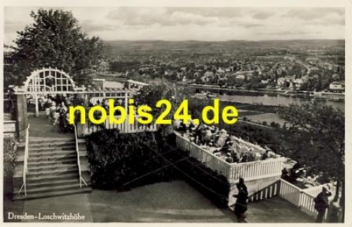 Loschwitz Dresden Loschwitzhöhe  *ca.1930
