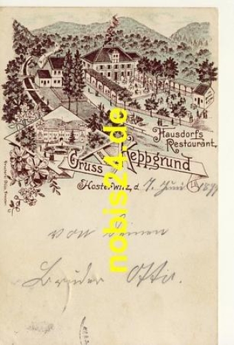 Hosterwitz Dresden Litho Gasthof o 8.6.1897
