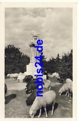 Radegost na Radhosti flock of sheep o 13.7.1949