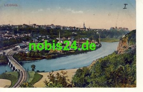 04703 Leisnig Gesamtansicht mit Fabrik o 21.2.1911