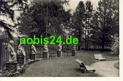 04651 Bad Lausick Im Rosarium o 17.7.1965