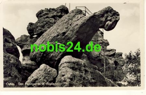 02797 Oybin The parrot at the potter o 16.10.1954