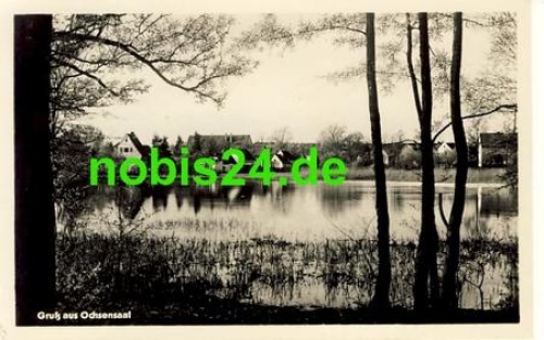 04774 Ochsensaal  am Teich o 18.7.1955