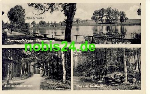 04774 Ochsensaal  o 18.8.1955
