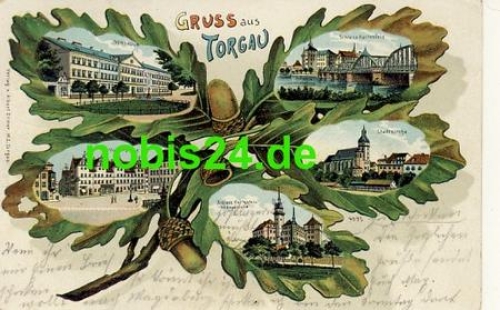 04860 Torgau Litho Eichenblattkarte o 30.4.1903