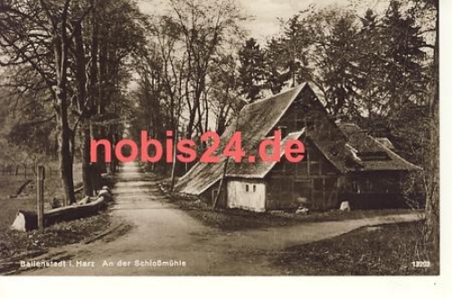 06493 Ballenstadt Schlossmuhle *ca.1930
