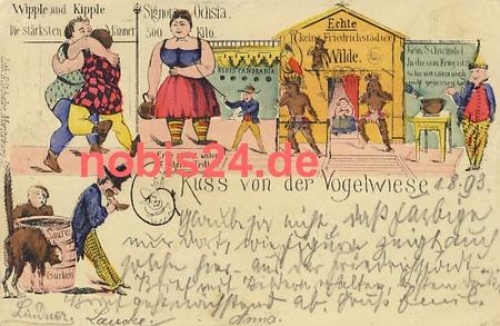 Dresden Vogelwiese Litho precursor o 2.8.1893