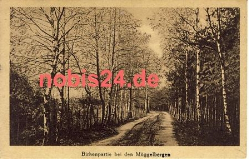 Treptow Berlin Müggelberge Birkenpartie o 7.8.1920
