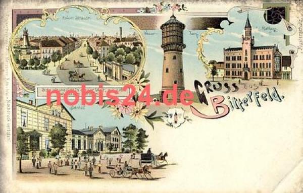 06749 Bitterfeld Litho Bahnhof Turm Rathaus *ca.1900