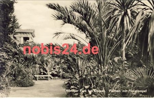 06786 Woerlitzer Park Palmengarten *ca.1964