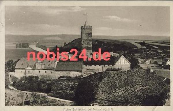 06618 Naumburg Ruine Schoenburg o 20.2.1914