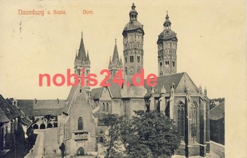 06618 Naumburg Saale Dom o 13.3.1913