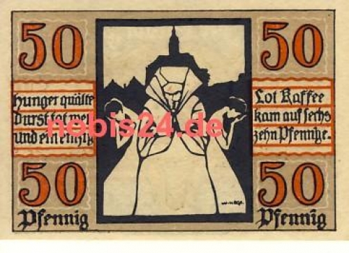 06618 Naumburg emergency money 50 pfennigs 1920