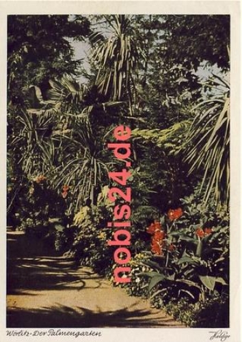 06786 Woerlitz Park Palmengarten  *ca.1955