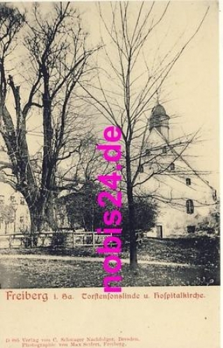 09599 Freiberg Hofpitalkirche Linde *ca.1900