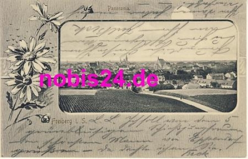 09599 Freiberg Panoramaansicht o 3.11.1903