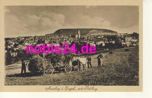 09456 Annaberg Bringing in the harvest at Poehlberg *ca.1920