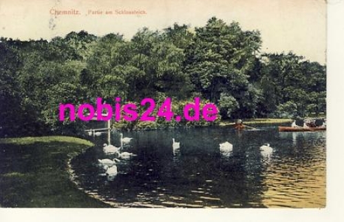 Chemnitz castle pond swans o 5.3.1908