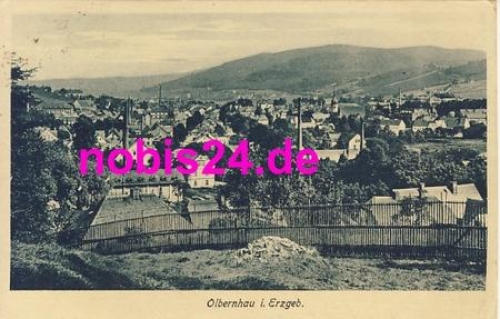 09586 Olbernhau o 12.6.1924
