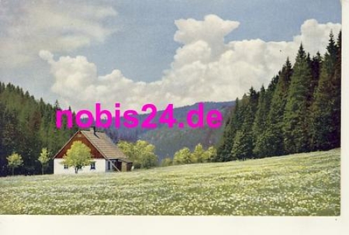 09496 Schwarzwassertal artist card *ca.1930