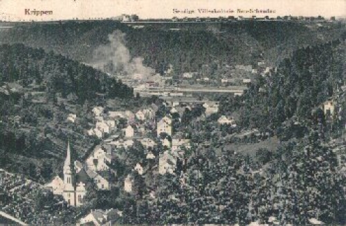 01814 Krippen mit Sendigs Villenkolonie Neu-Schandau o 9.1.1921