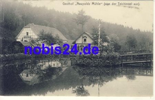 07607 Eisenberg Muhltal Naupoldsmuhle *ca.1915