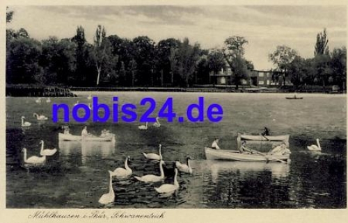 99974 Mühlhausen Schwäne  ca.1950
