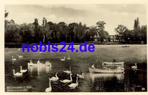 99974 Muehlhausen Schwanenteich *ca.1950