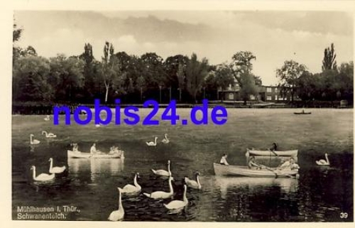 99974 Muehlhausen Schwanenteich *ca.1950