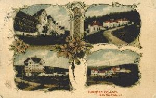 01844 Hohwald  Sanatorium o 7.6.1915