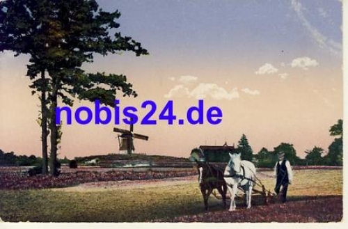 29614 Luneburg Heath Windmill *ca.1920