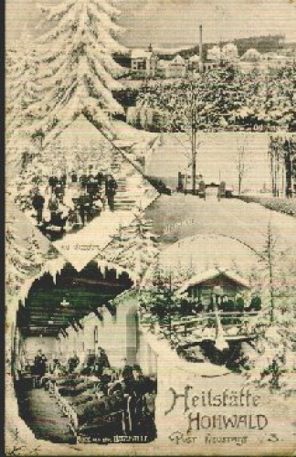 01844 Hohwald Heilstätte o November 10, 1915 Field post