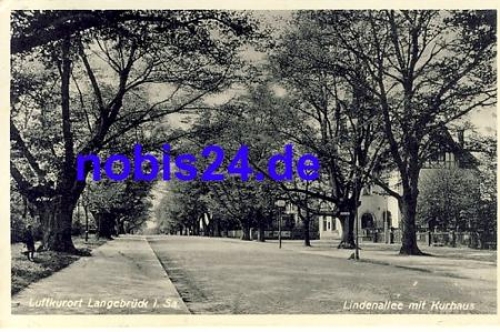01465 Langebruck Lindenallee Kurhaus o 1935