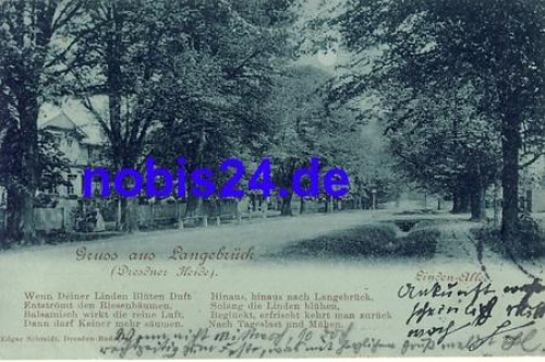 01465 Langebrück Lindenallee Mondscheinkarte o 1904