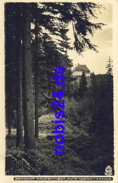 01773 Altenberg Raupennest o 1928 Hahn-Foto6732