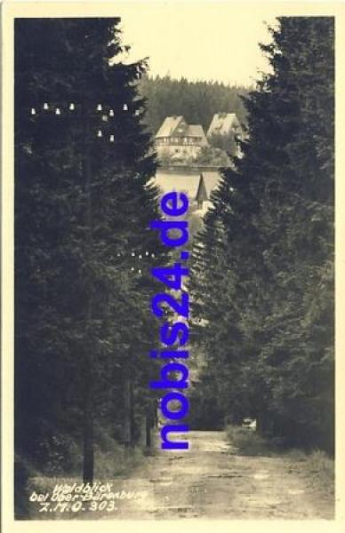 01773 Oberbärenburg Waldblick *ca.1955