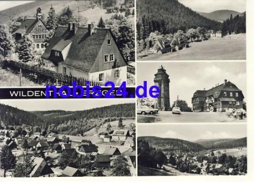 08309 Wildenthal o ca.1979