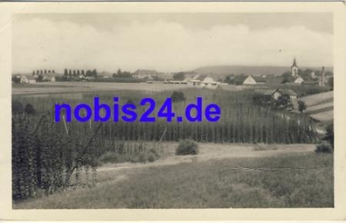 Mutejovice o 1955