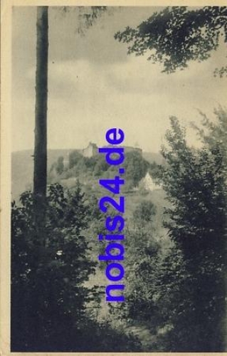 Usti n. Orl Burgansicht *ca.1950