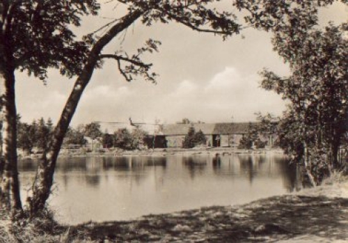 01773 Altenberg Erzgebirge Am kleinen Galgenteich *ca. 1960