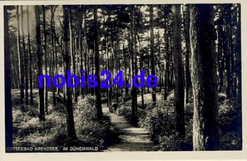 18225 Arendsee Ostseebad Dunenwald  *ca.1940