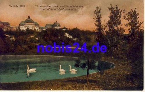 Wien Tuerkenschanzpark *ca.1915