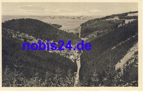 98746 Bad Finkenmuhle *ca.1950