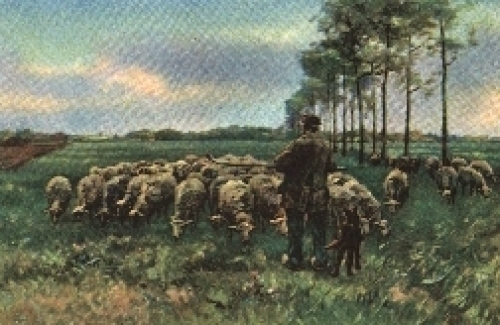 Am Morgen Künstlerpostkarte Antony Mauve Verlag Stengel Nr.29121