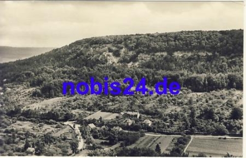 99752 Bleicherode Vogelbergklippen o 1963