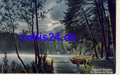 16816 Ruppiner Switzerland Teufelsee artist card * ca.1930